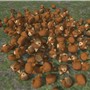 PILE OF CAT HEADS!!!! - Torley Olmstead