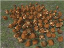 PILE OF CAT HEADS!!!! - Torley Olmstead
