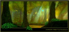 CHAKRYN FOREST By Panteleimon