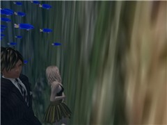 Snapshot_357