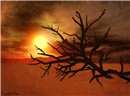 Dead Tree