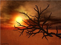 Dead Tree