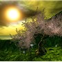 Spring Valley