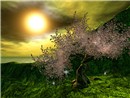Spring Valley