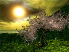 Spring Valley