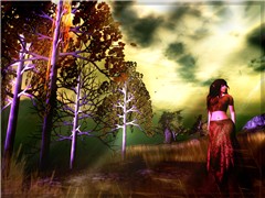 like tall trees and thunder 2
