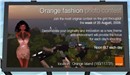 Join Us at the Orange Island - Koinup Burt