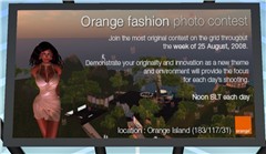 Join Us at the Orange Island - Koinup Burt