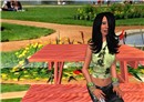 picnic table prop_001