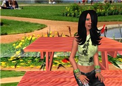 picnic table prop_001