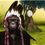 La planète des singes ?
