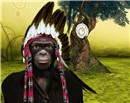 La planète des singes ?