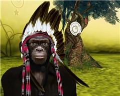 La planète des singes ?