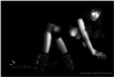 Tigress