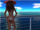 orangeislandcontest