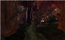 Mystics Hollow - Liqueur Felix