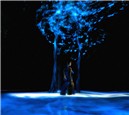 blue 2