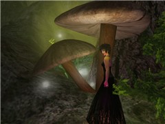 tag: windlightnoprocessingcontest - Monroe Snook