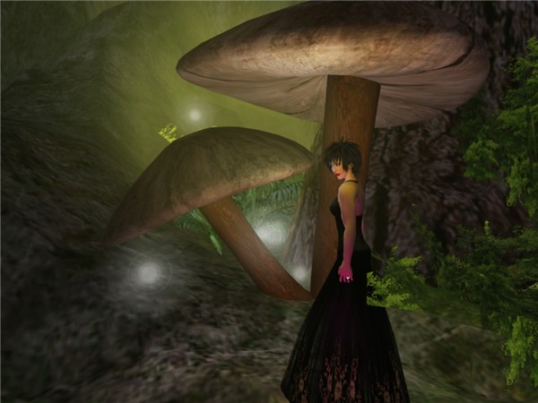 tag: windlightnoprocessingcontest - Monroe Snook
