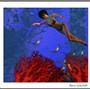 Singapore girl dive