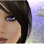 Snapshot_016