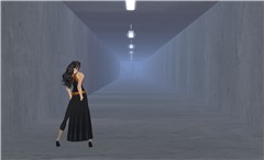 Snapshot_007