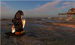 Snapshot_003