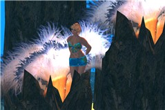 Anemone boa