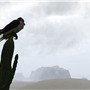 Feel the Wind