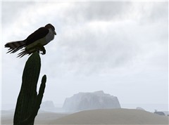 Feel the Wind