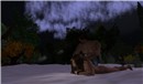 Blue_004