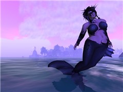 Swaying in the Purple