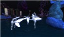Snapshot_013