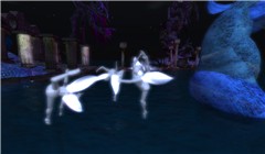 Snapshot_013
