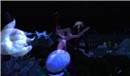 Snapshot_017