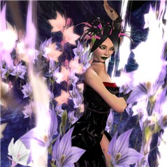 Transcendent Beauty