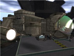 Star Bug 101 - edo Jay