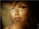 Solie 2008 v.2