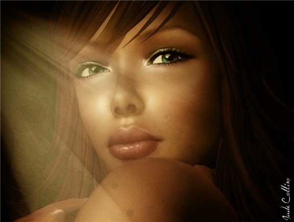 Solie 2008 v.2