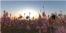 sunset,,