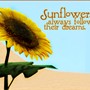 Sunflower.