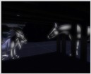 syncretia 2
