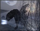 syncretia 1
