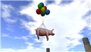 the Dump Rezzable - Koinup Burt