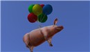 the Dump Rezzable - Koinup Burt