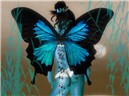 Flutter