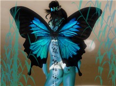 Flutter