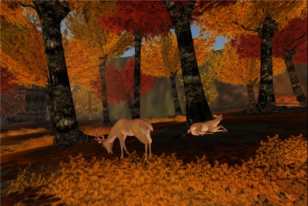 Oh deer