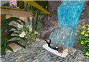 Snapshot_719