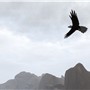 Up Up the Sky (2)
